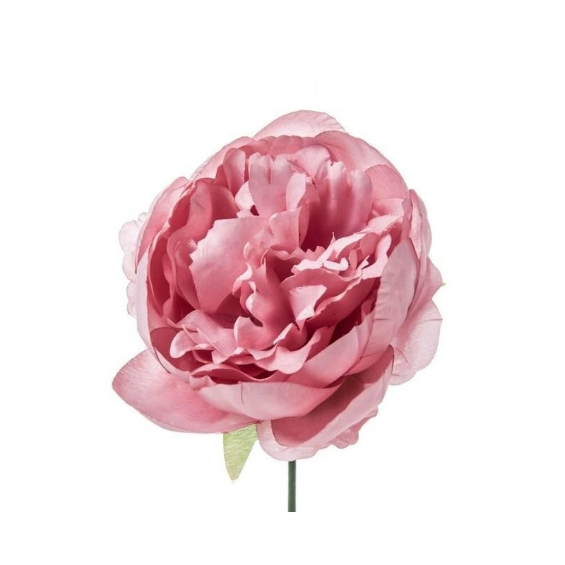 PICK PEONIA COLORE ROSA CIPRIA H19 D11