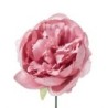 PICK PEONIA COLORE ROSA CIPRIA H19 D11
