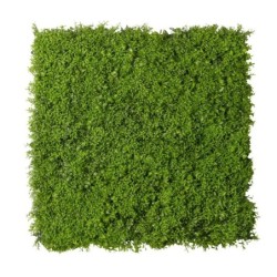 TAPPETO VERDE D'ERBA 1X1MT