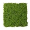 TAPPETO VERDE D'ERBA 1X1MT