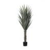 PIANTA AGAVE VERDE H160