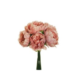 BUSH PEONY X6 MAUVE 29CM