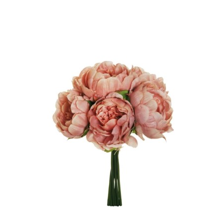 BUSH PEONY X6 MAUVE 29CM